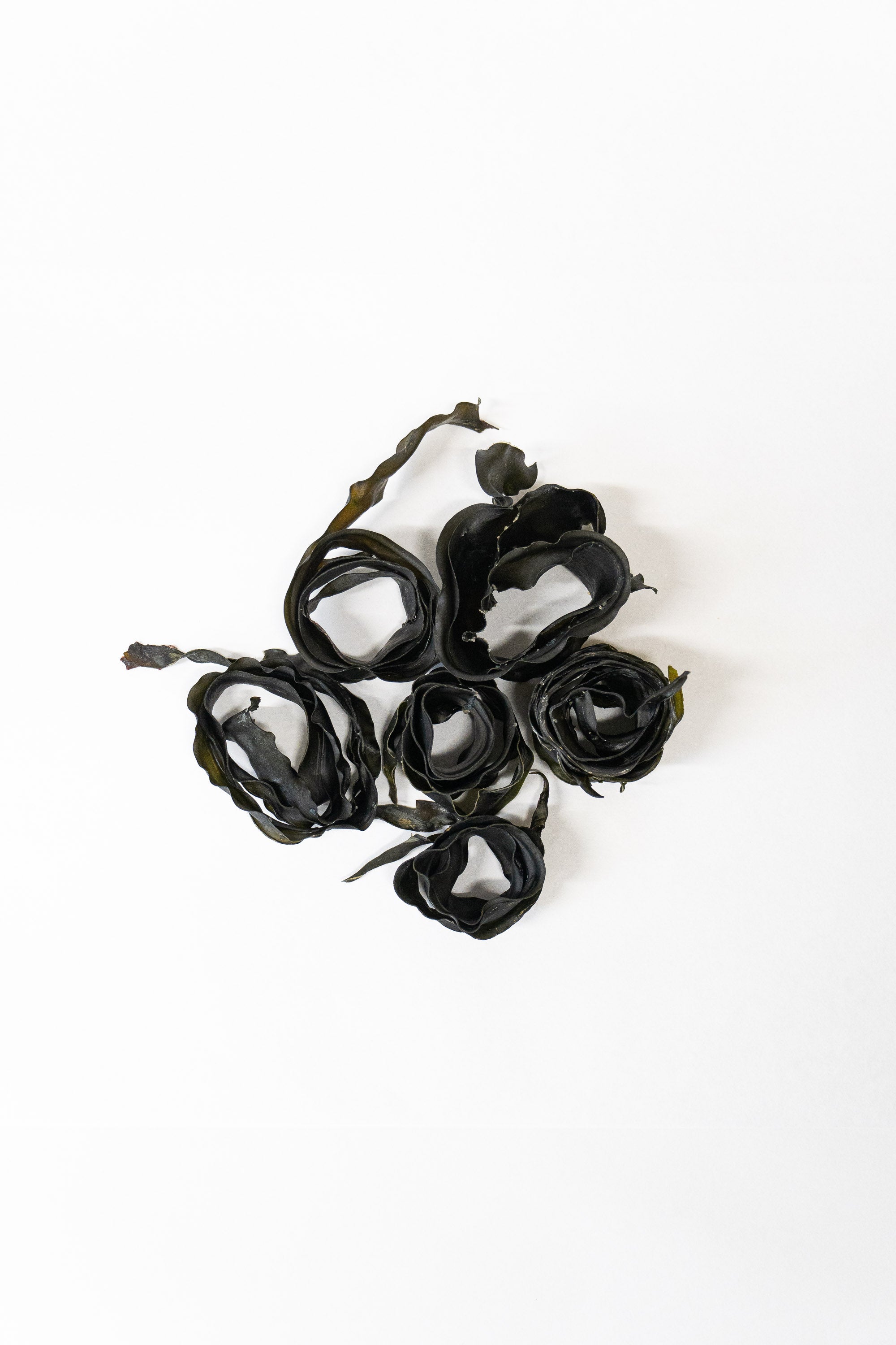Dried Kombu Blades
