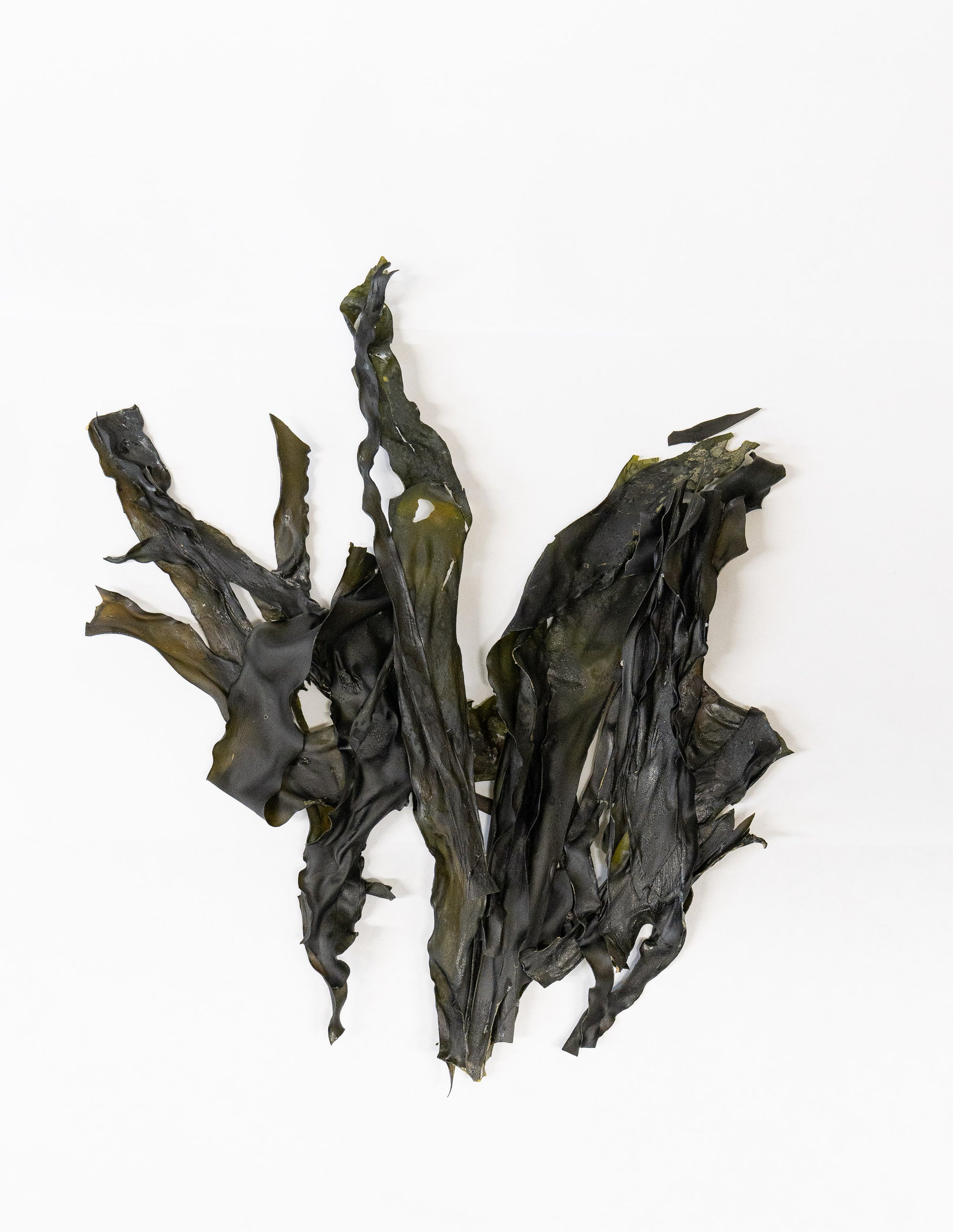 Dried Kombu Blades