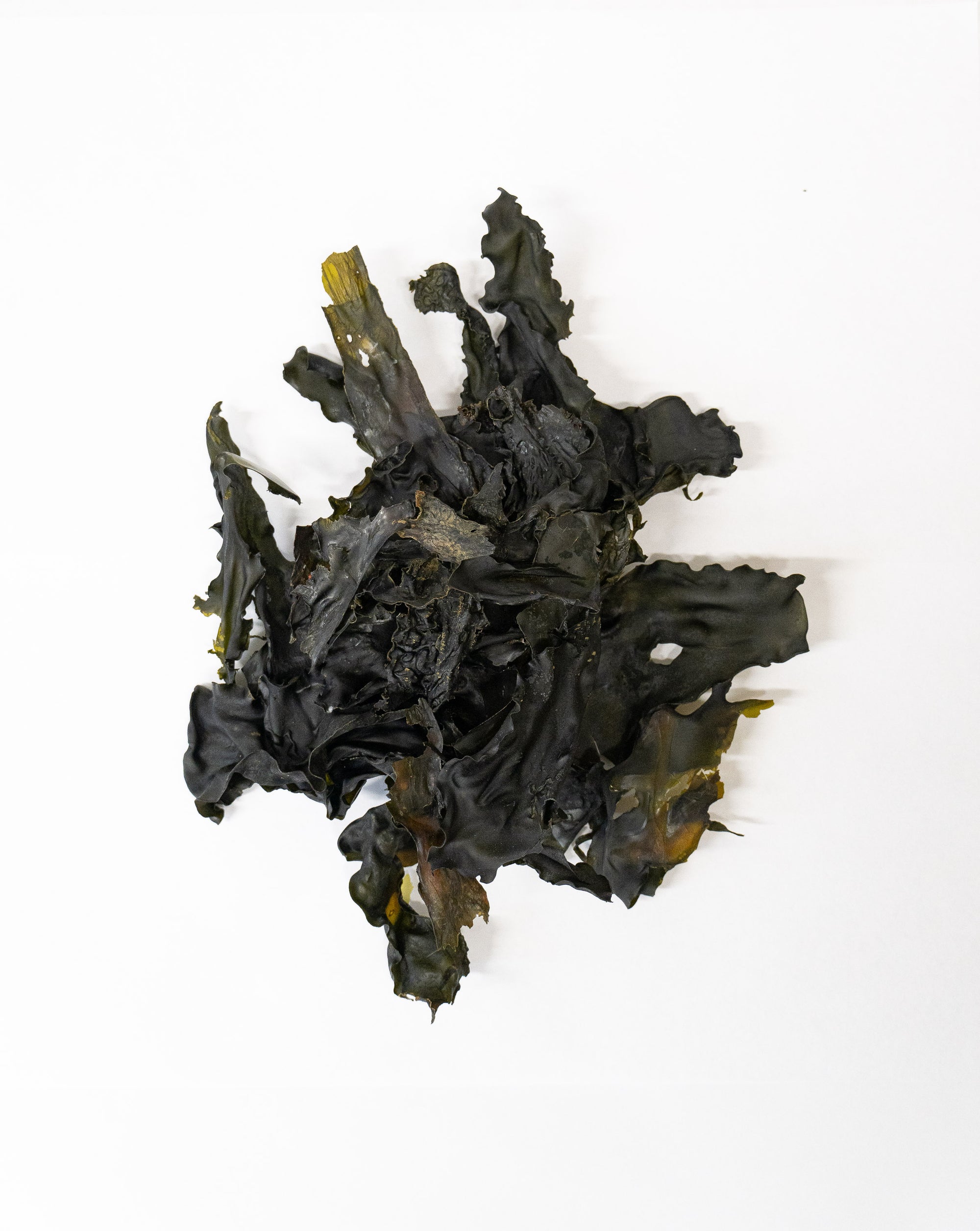 Dried Sea Cabbage Flakes