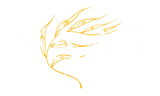 Naas Foods Kelp Logo White/Yellow