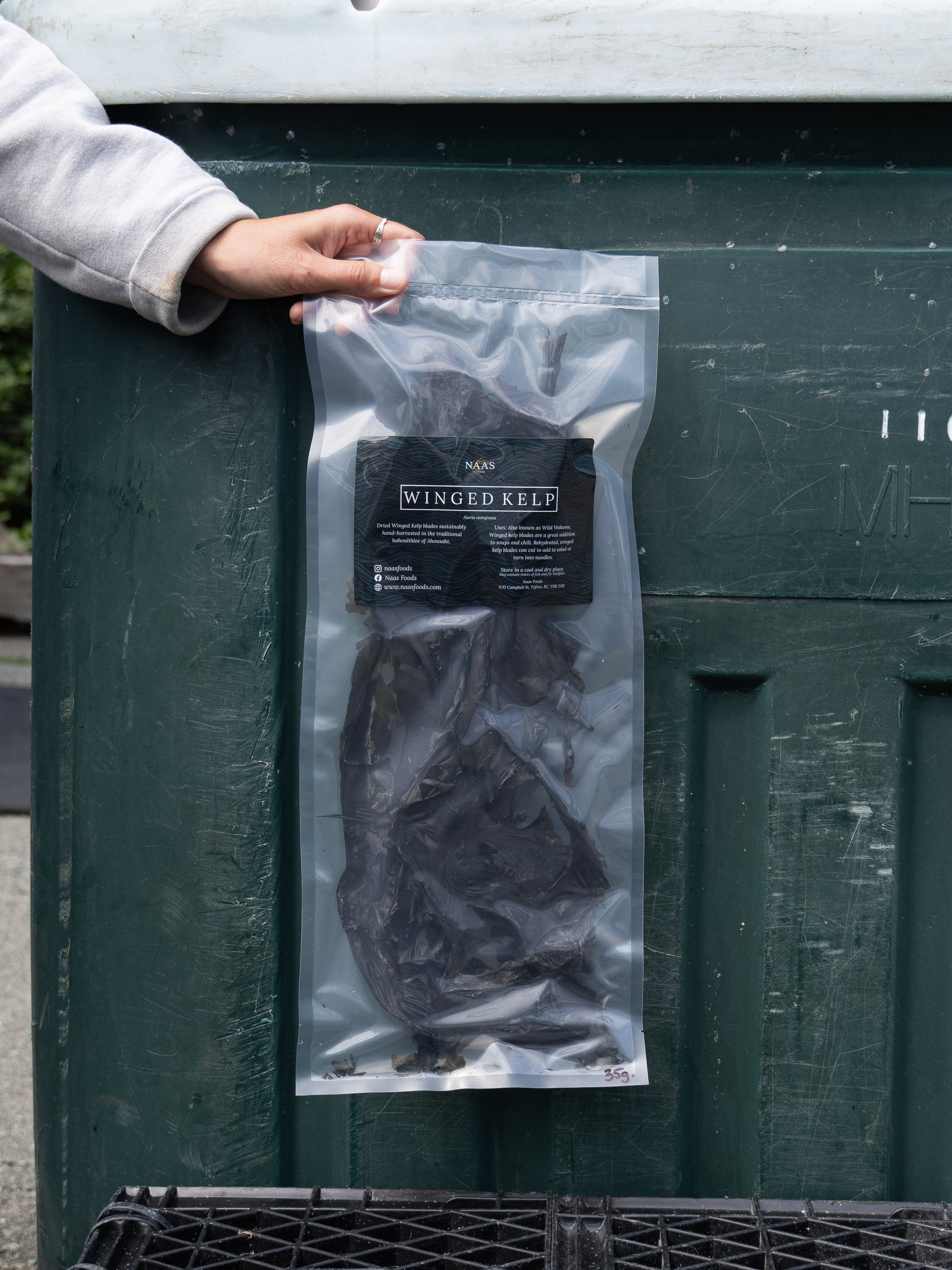 Dried Winged Kelp (Wakame) Blades